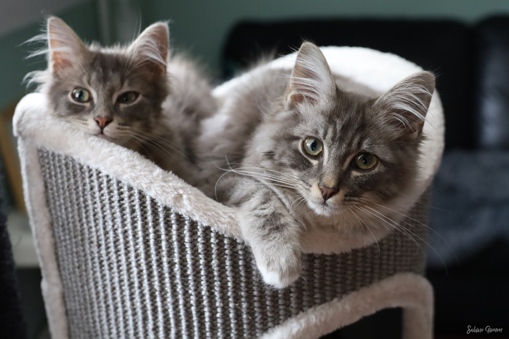 Willkommen an Bord Lenny und Ringo 4 lenny-und-ringo