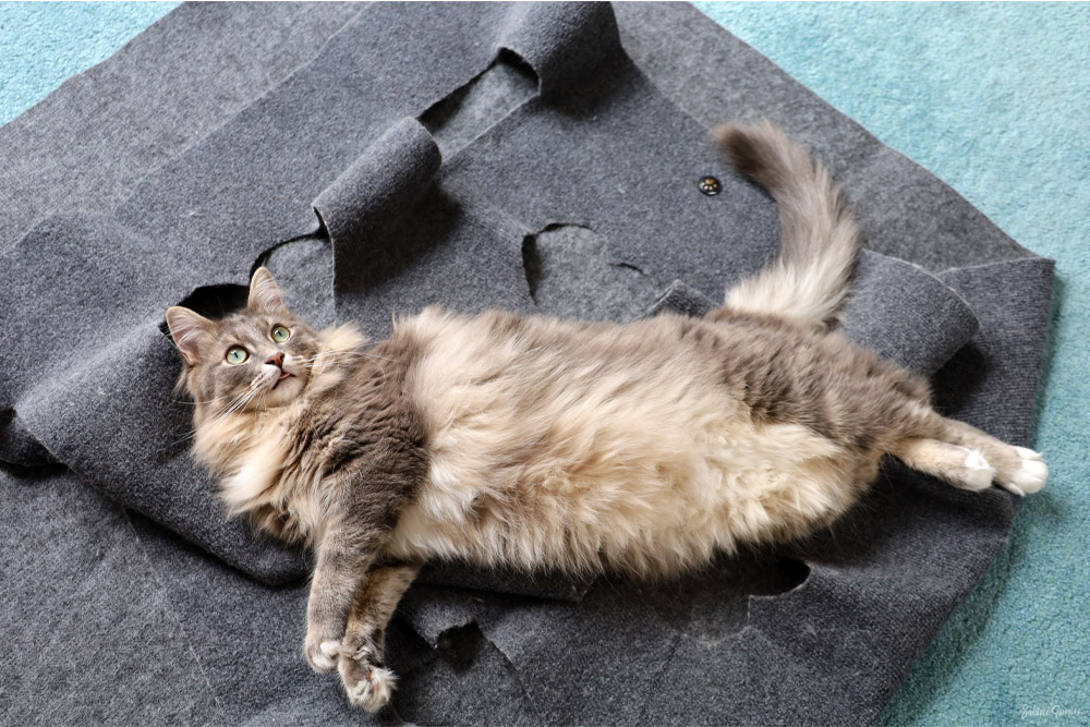 Spielecke für Katzen 5 lenny-und-ringo Spielecke