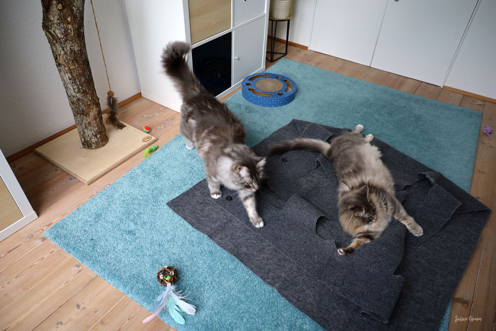 Spielecke für Katzen 2 lenny-und-ringo Spielecke