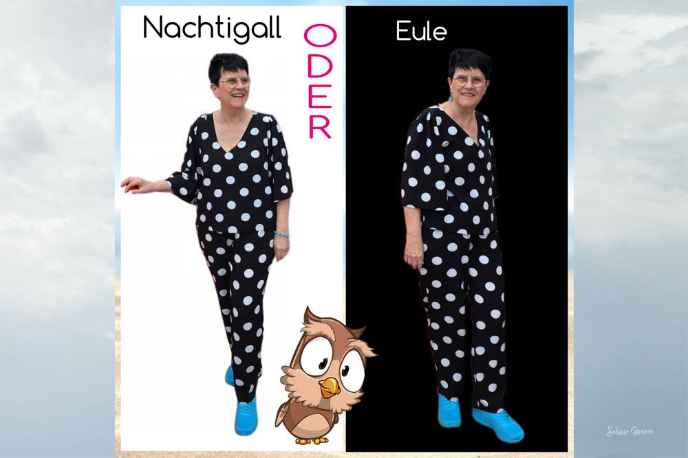 Blogparade Nachtigall oder Eule